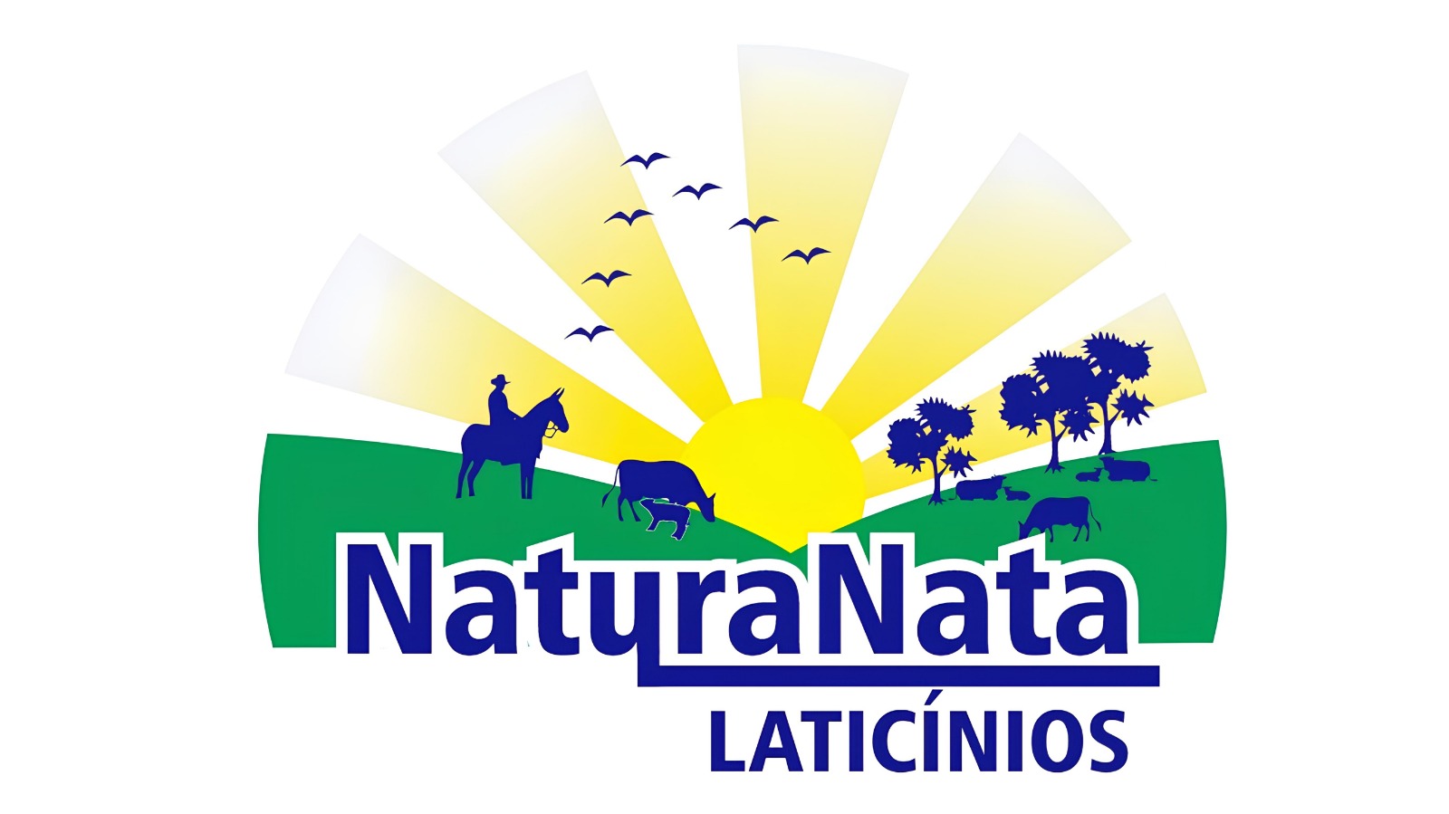 Laticínios NaturaNata